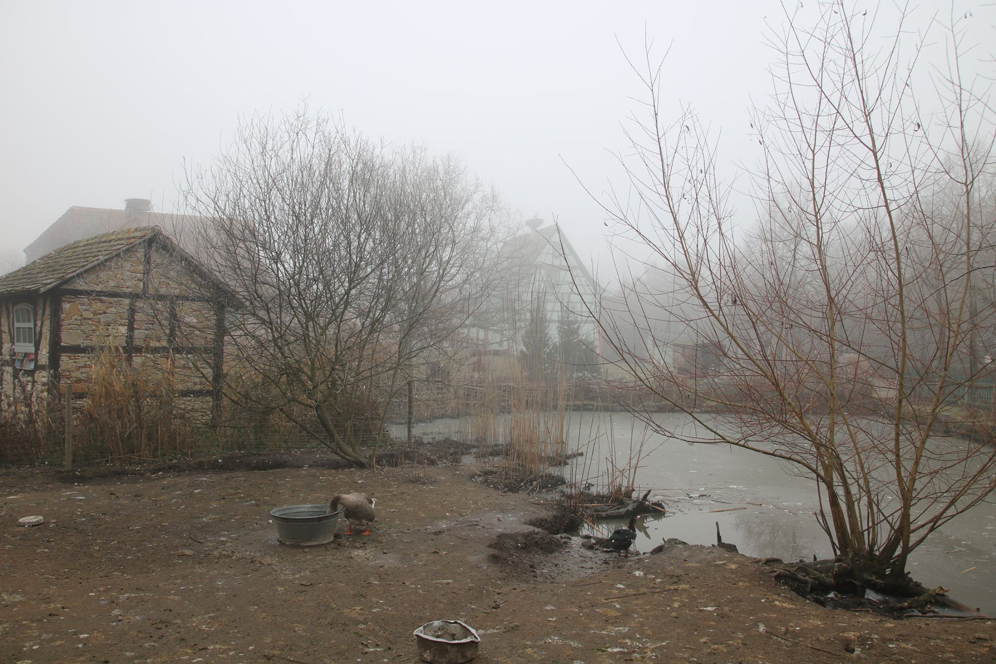 Ungersheim